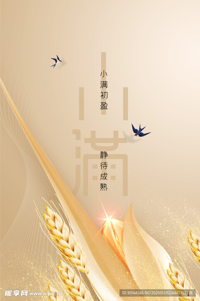 小满节气海报