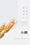 小满节气海报