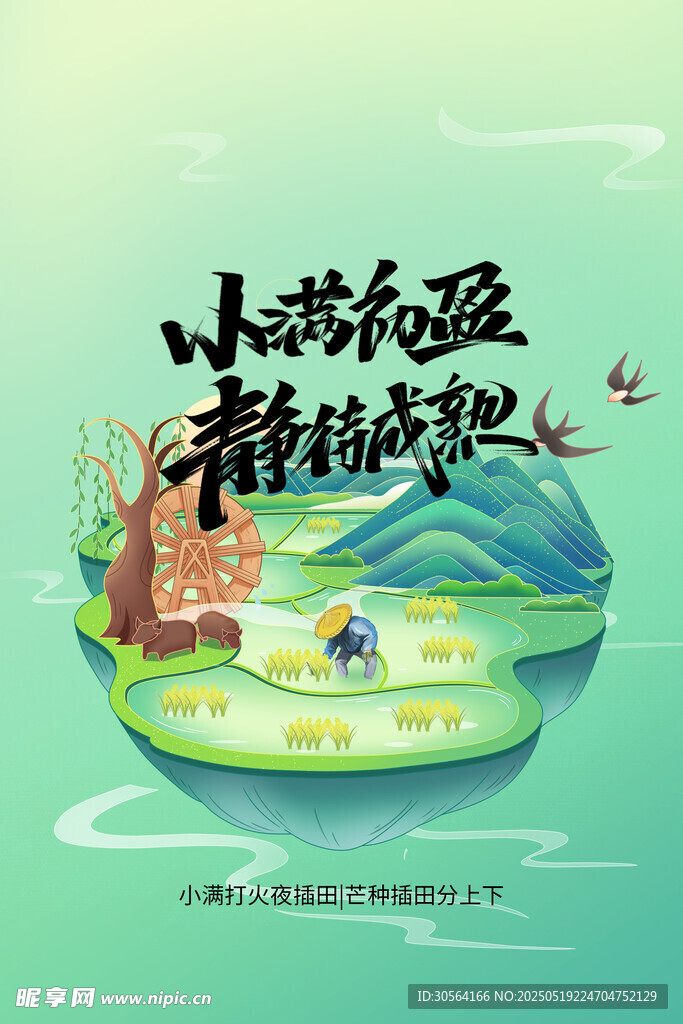 小满节气海报