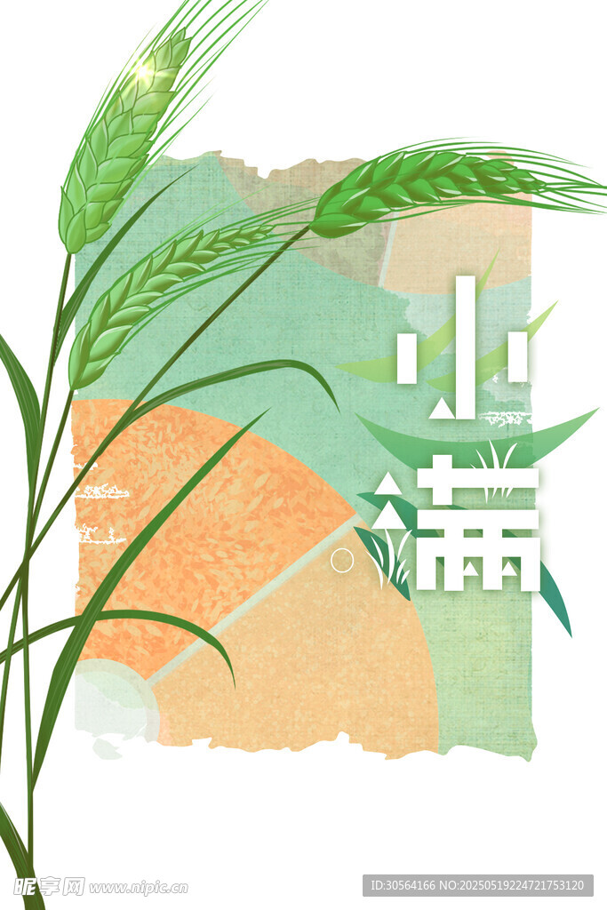 小满节气海报