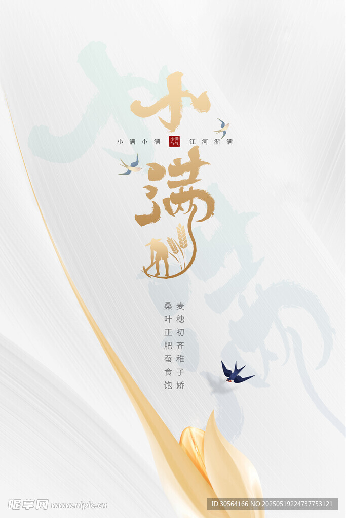 小满节气海报