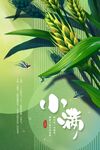 小满节气海报