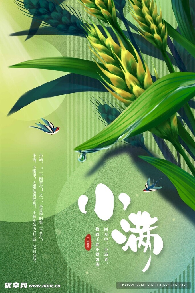 小满节气海报