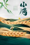 小满节气海报