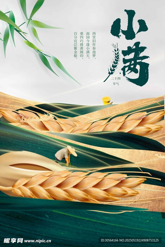 小满节气海报