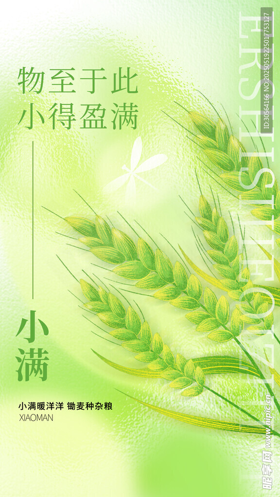小满节气海报