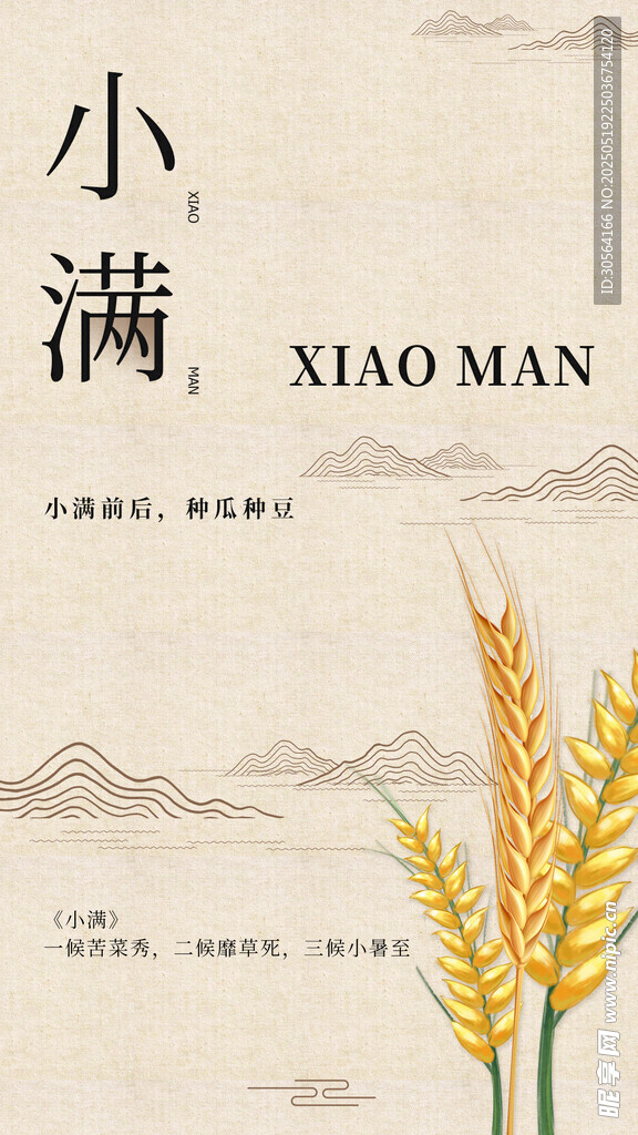 小满节气海报