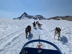 雪地狗拉雪橇之旅