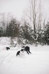雪地中嬉戏的人们