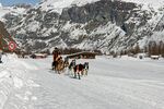 雪地马拉雪橇的冬日美景