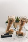 玻璃罐中的创意多肉摆件