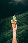 手捧抹茶冰淇淋于茶园