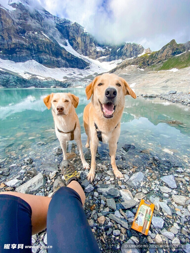 与两萌犬共赏山水美景