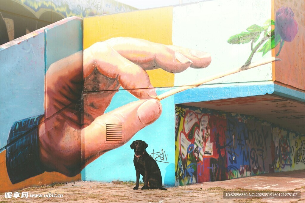 手影下的黑猫与多彩建筑