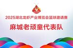 篮球赛队牌