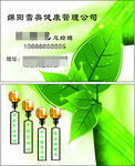 健康管理名片