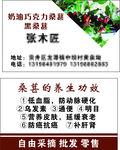 桑葚名片