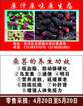 桑葚名片221