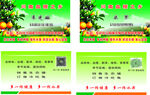 韦光媛 兰军名片