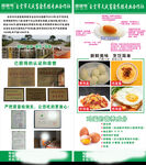 鸡蛋宣传展架