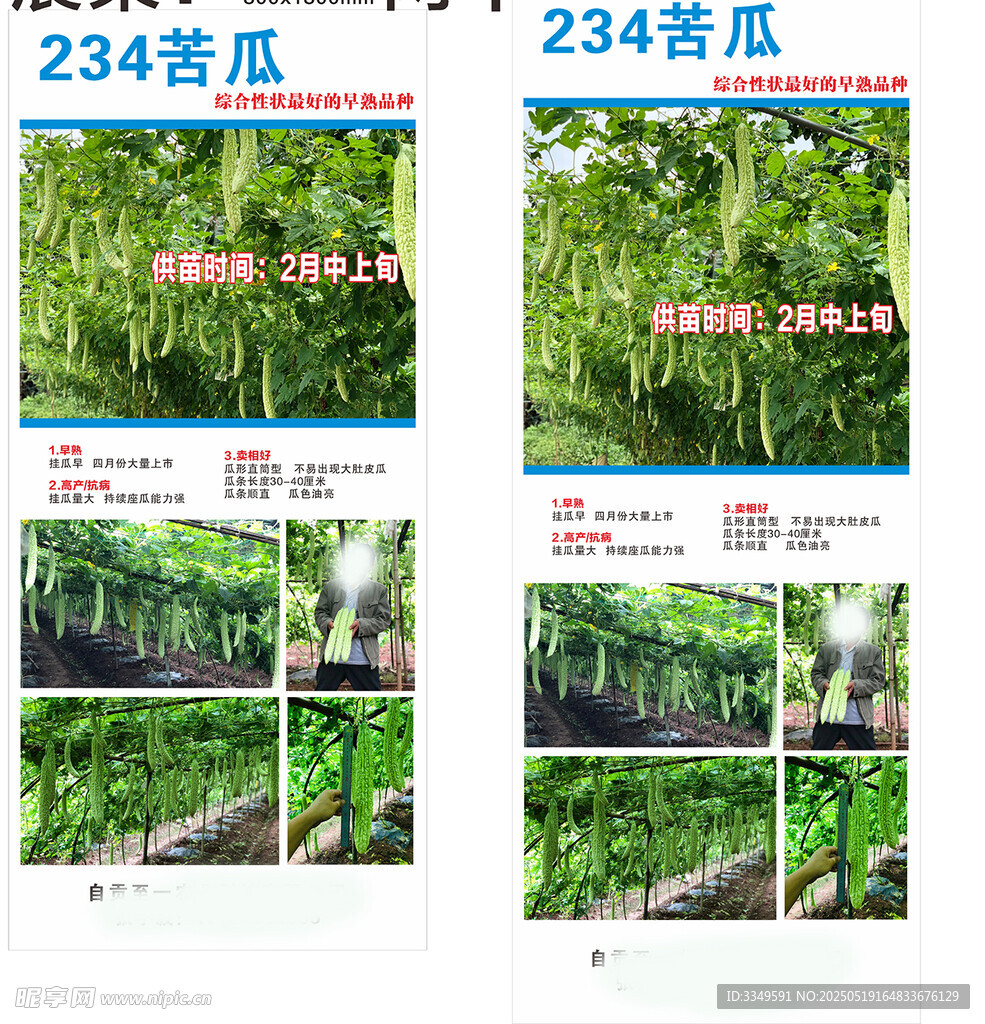 苦瓜展架