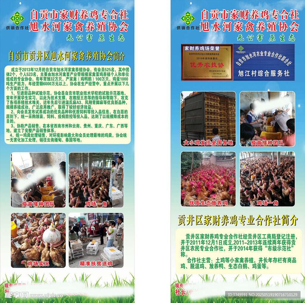 土鸡养殖展架