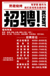 招聘海报