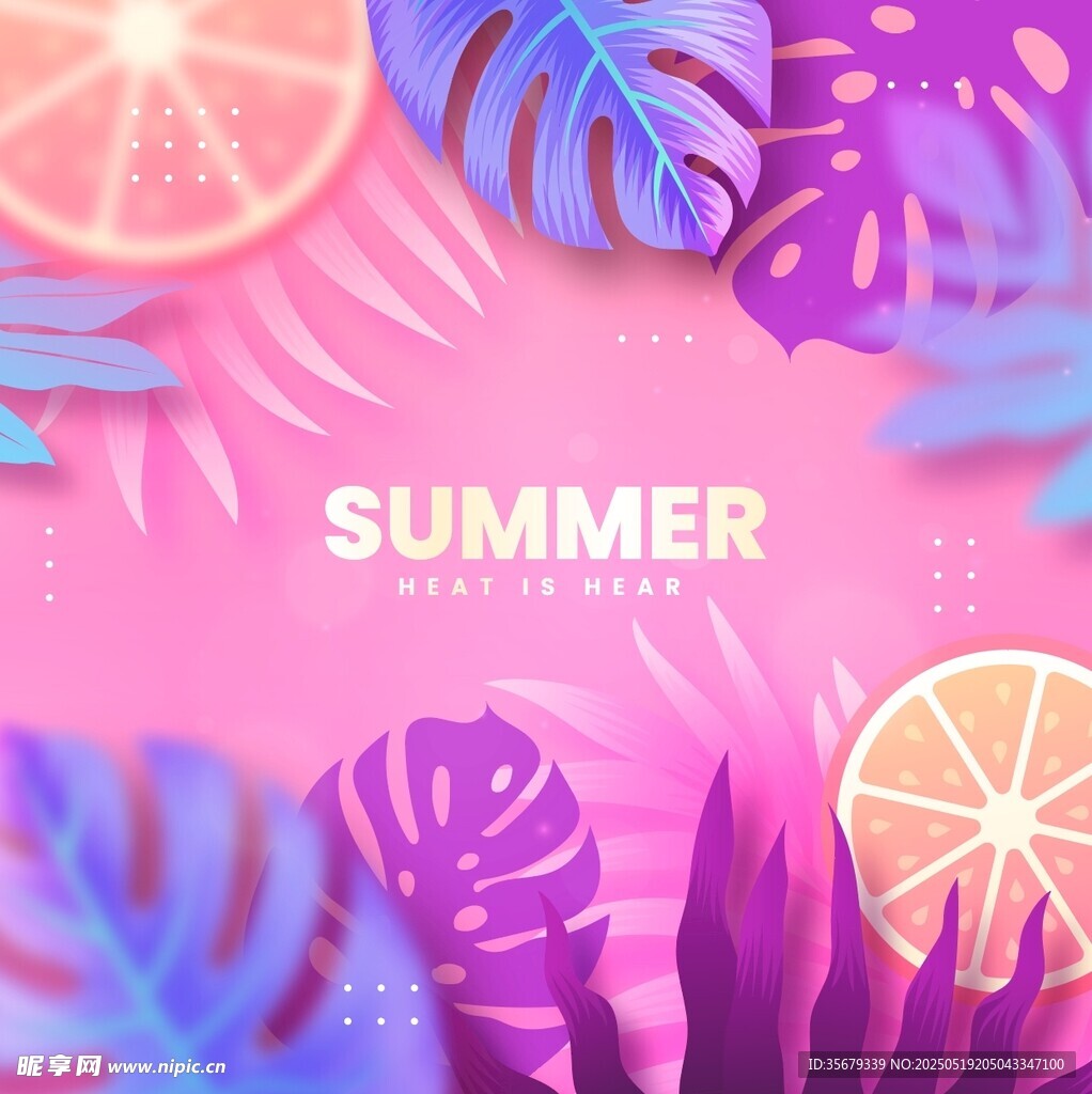 夏日缤纷热带风情背景图
