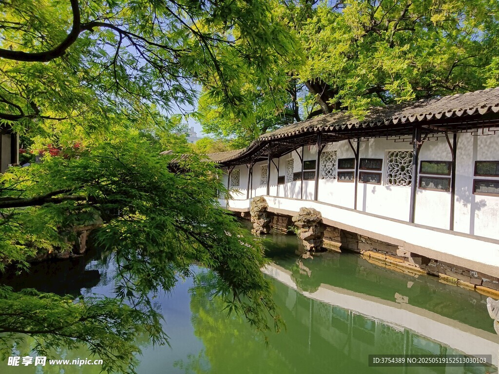 苏州园林中式园林水景古建筑风光