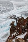 冰雪覆盖的海边嶙峋岩石