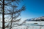 冬日雪景中的枯树与远山