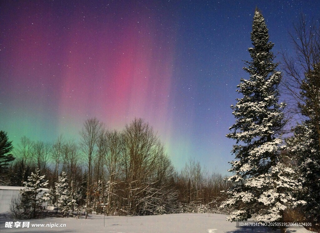 极光下的雪林美景