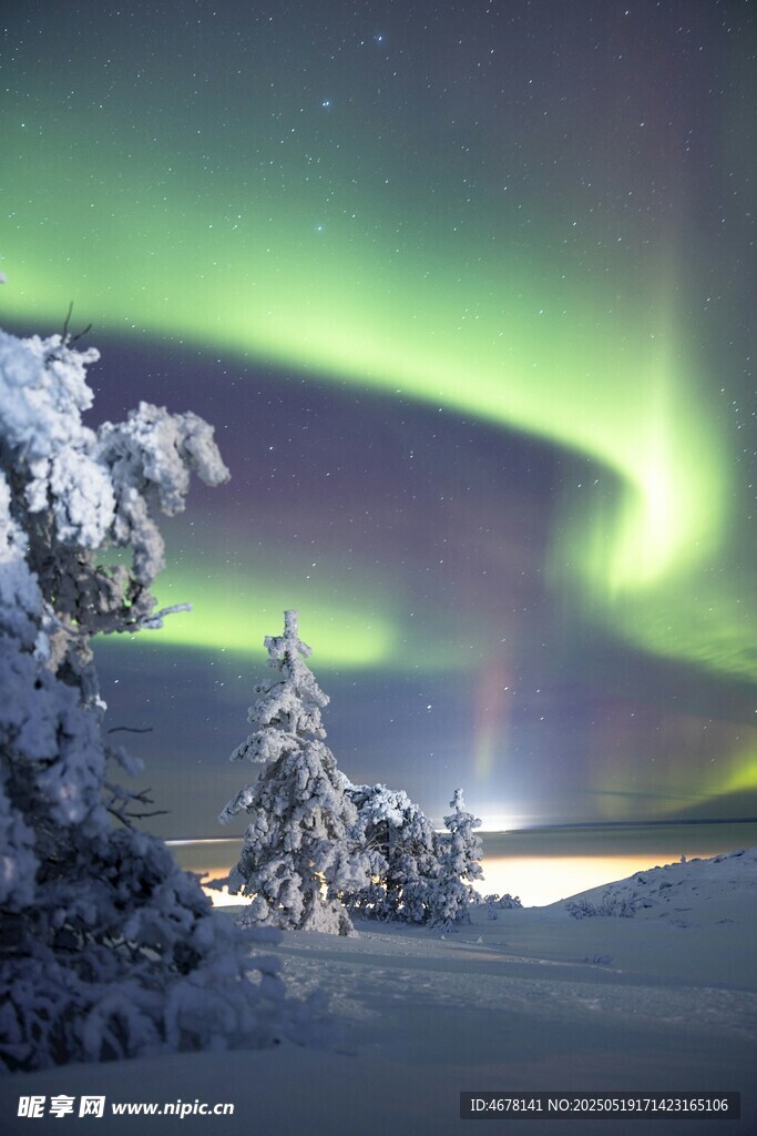 极光下的冰雪森林美景
