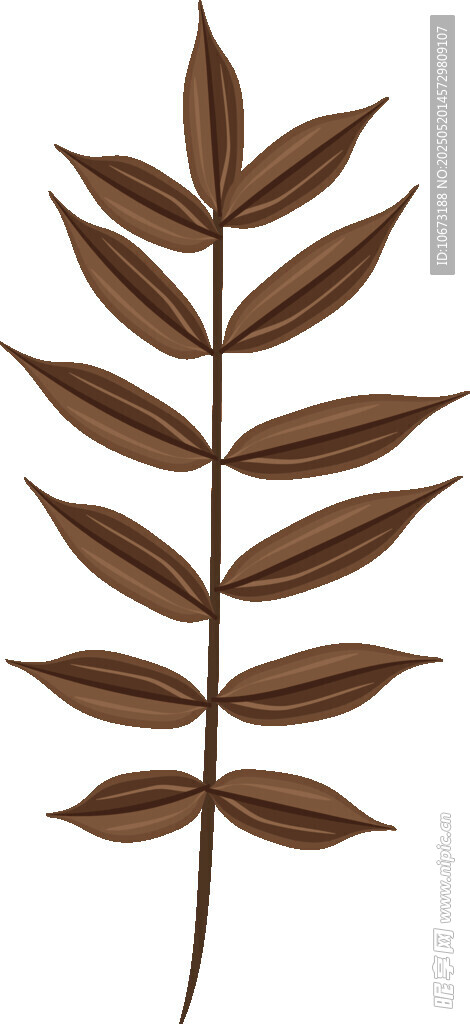 棕色叶片植物插画