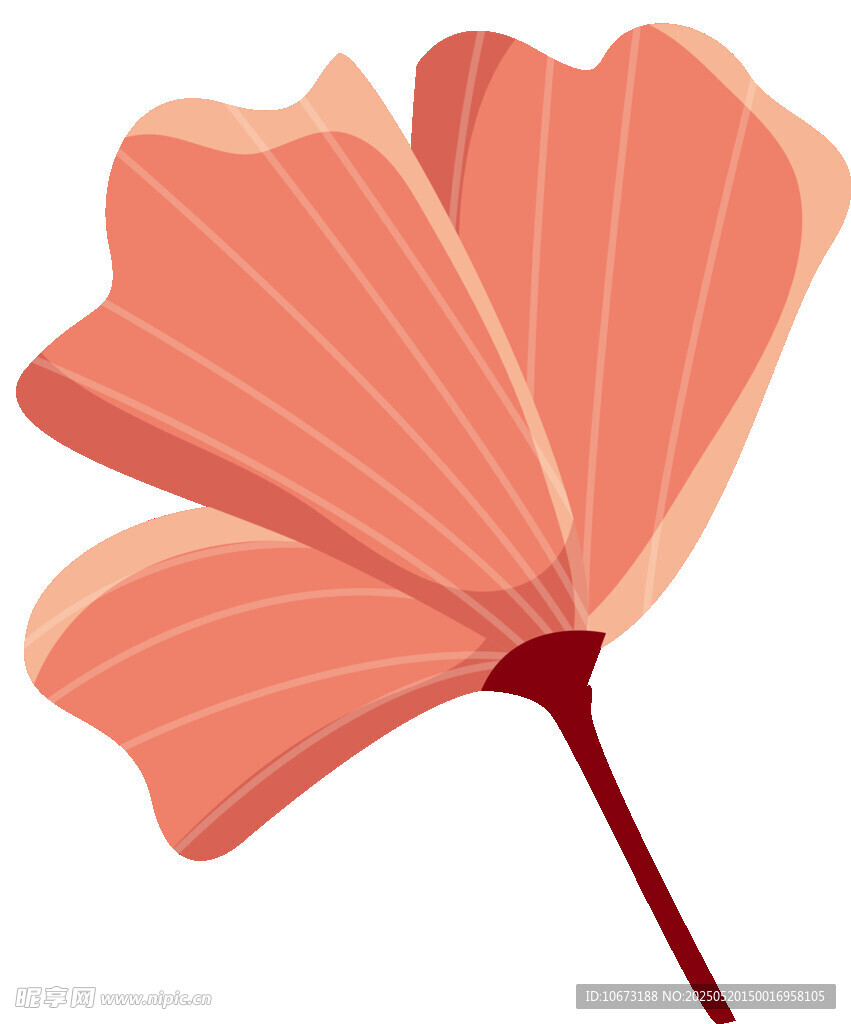 粉色花瓣插画