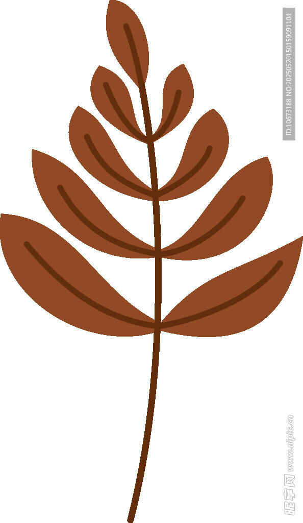 棕色叶片植物插画