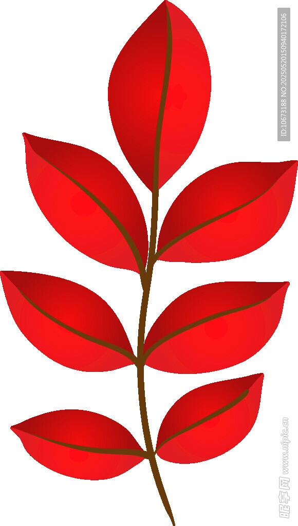 红色叶片插画