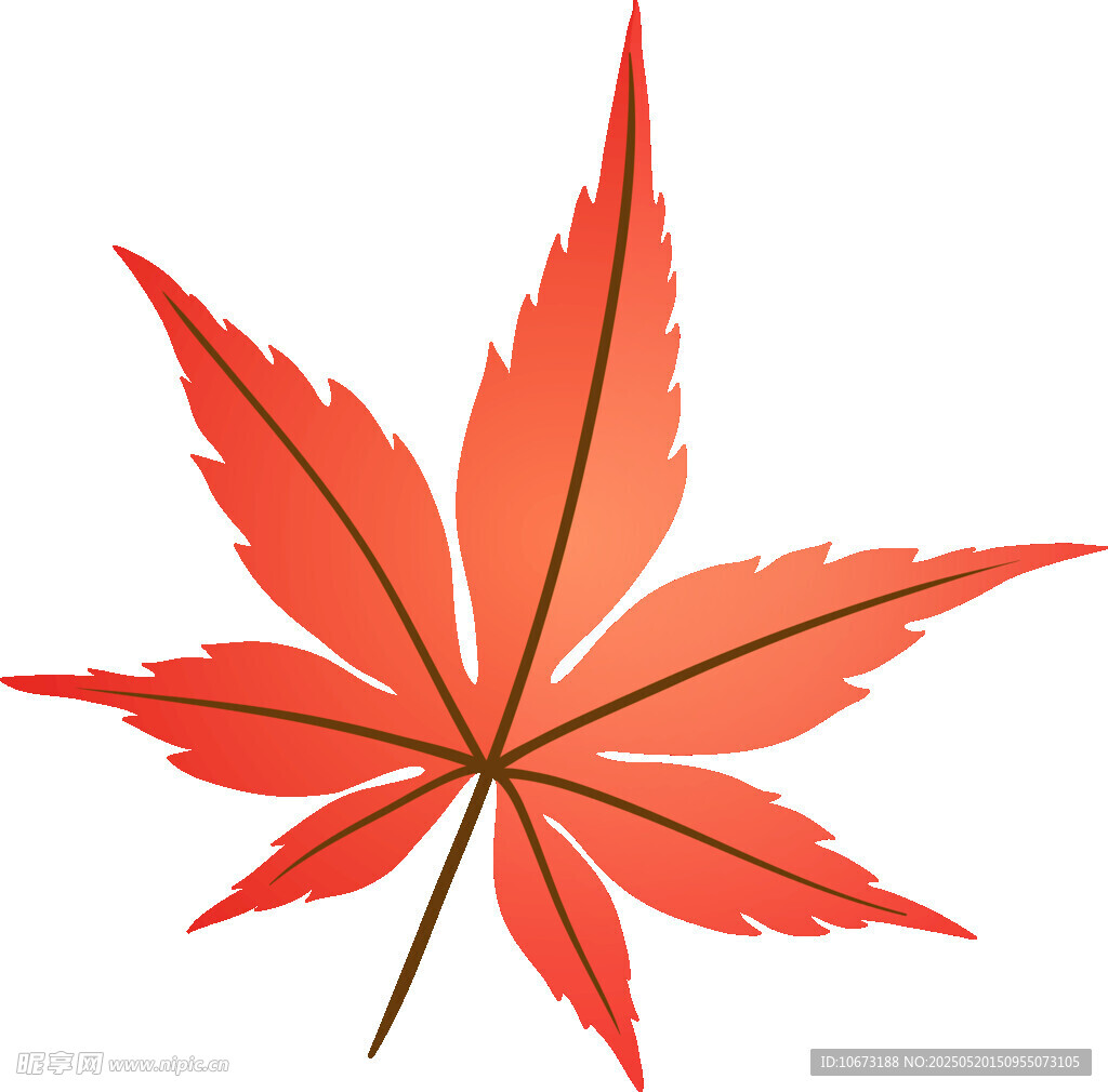 鲜艳红枫叶