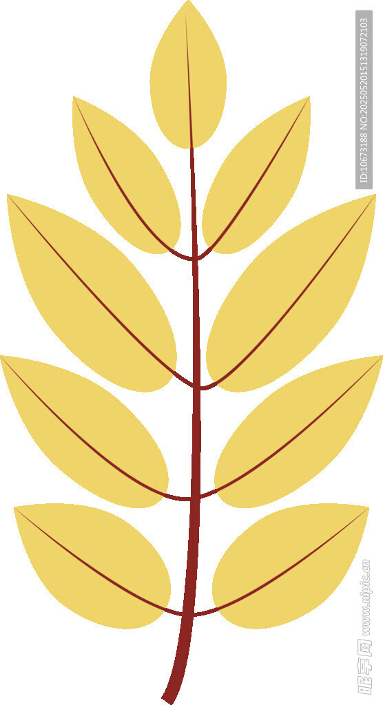 黄色叶片植物插画