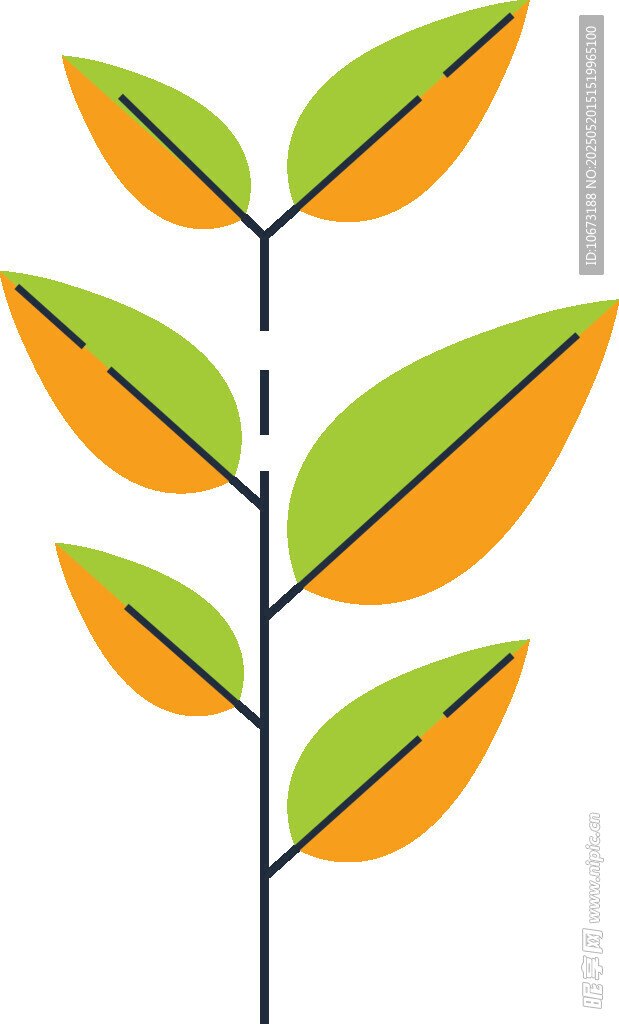 多彩叶片植物插画