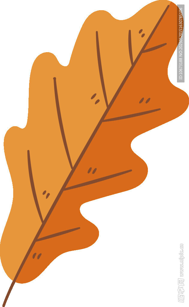 橙色橡树叶插画