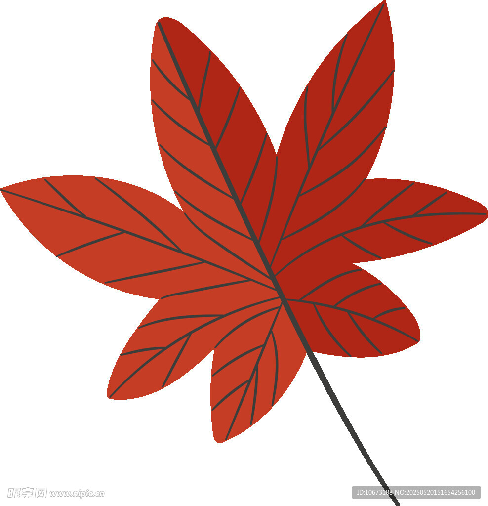 红色枫叶插画