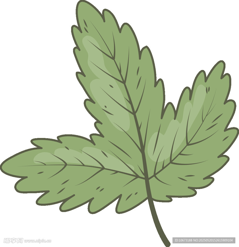 手绘三裂绿叶植物图案