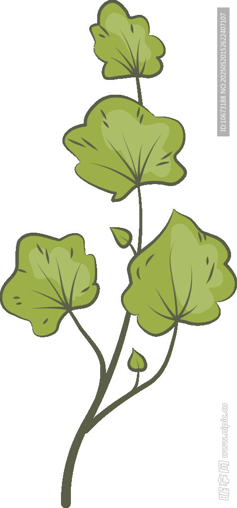 绿色藤蔓植物插画