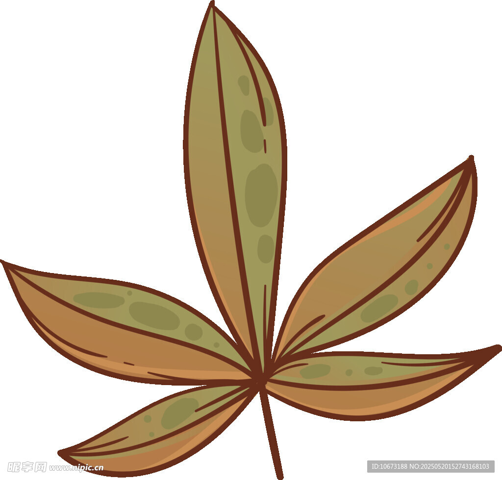 五片叶植物插画