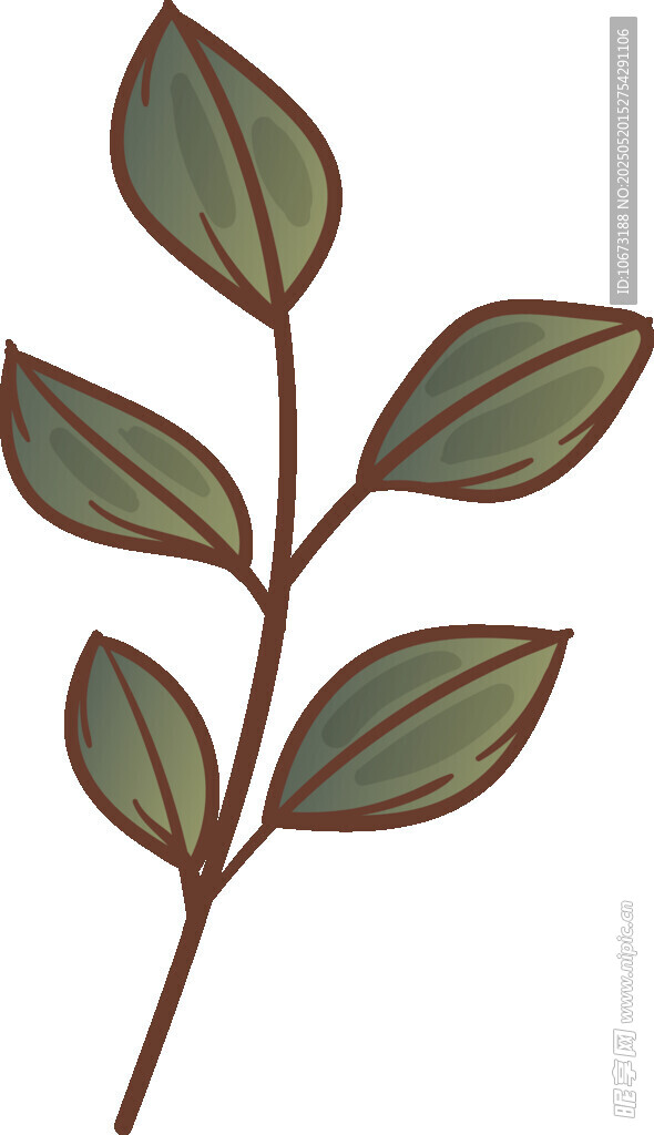 手绘绿叶植物枝条