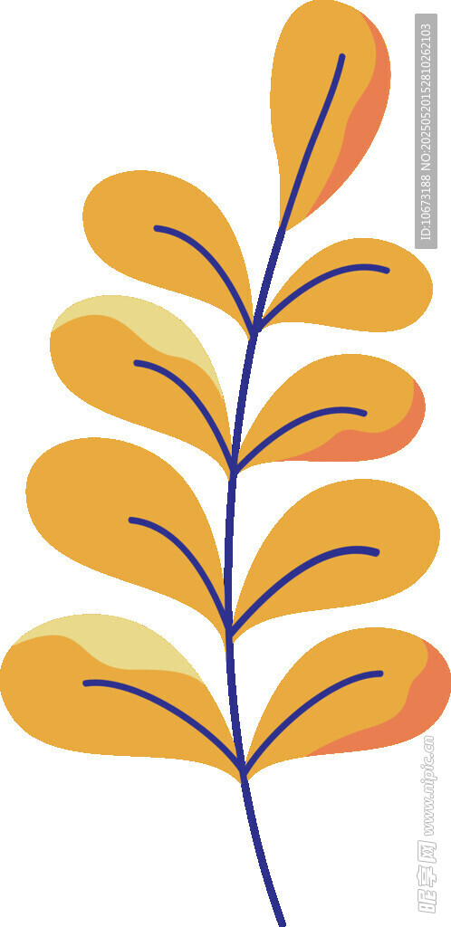 橙黄色叶片植物插画