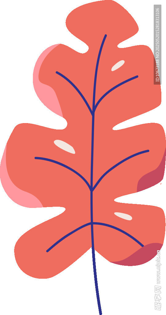 红色掌状叶插画