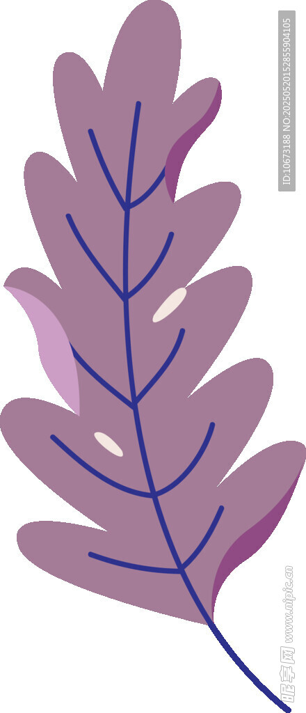 紫色叶片插画