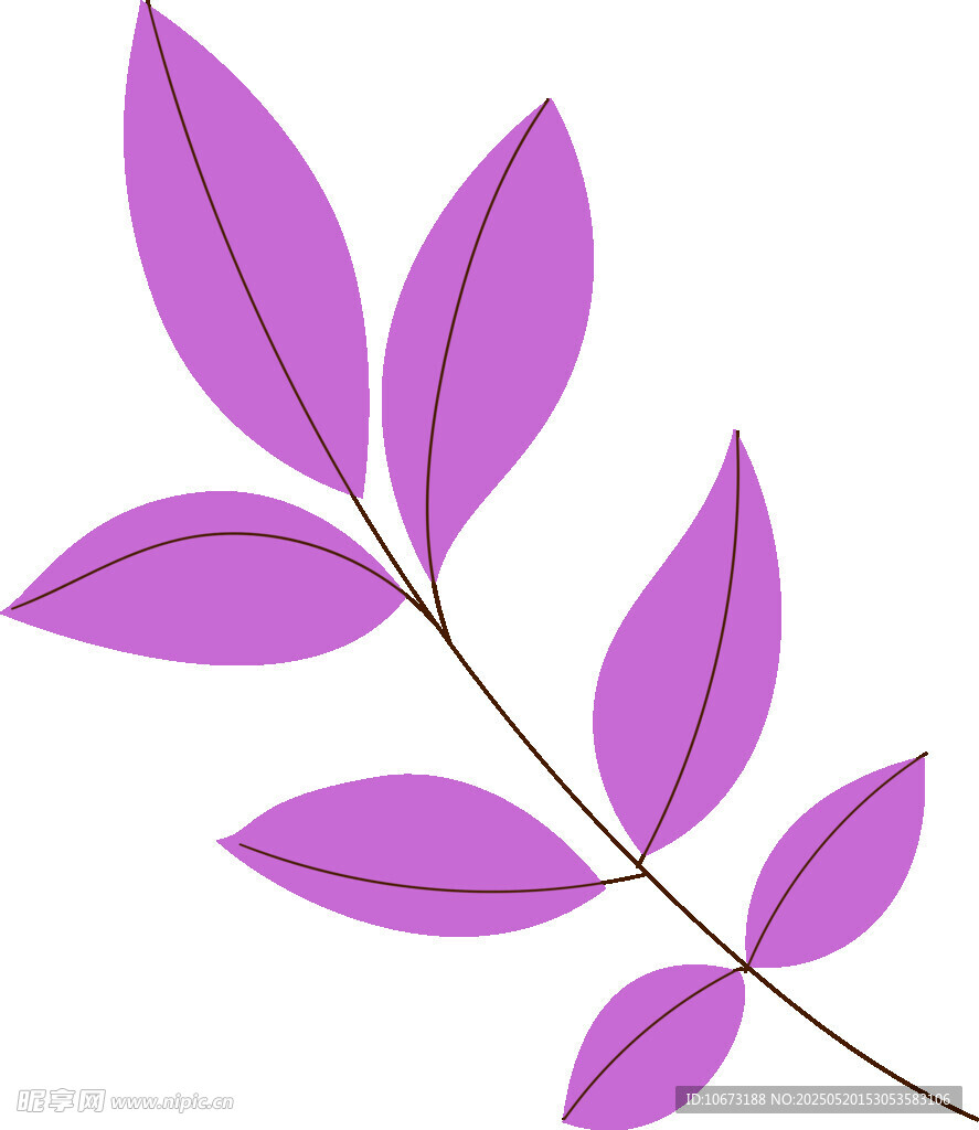 紫色叶片插画